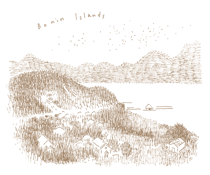 ボニン・アイランズ