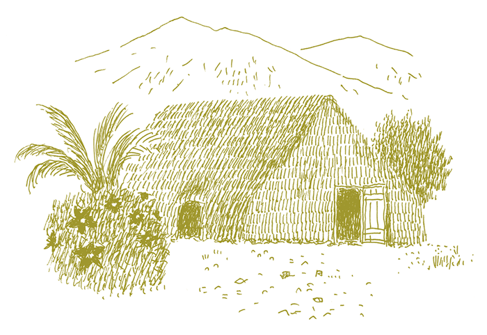 19世紀中頃のハワイの家